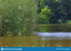 Colectie Imagini - vol.8, Dreamstime