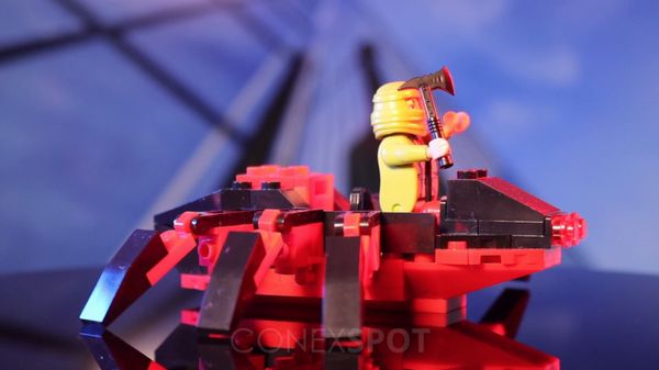 Prezentare - Paianjen Aventurier, Daniel Stefan