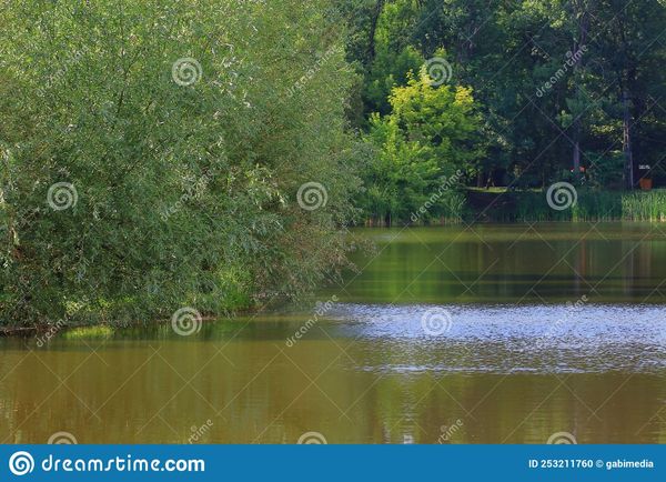 Colectie Imagini - vol.8, Dreamstime